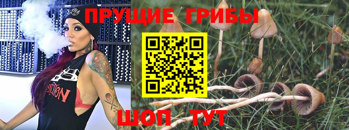 Псилоцибиновые грибы Psilocybine cubensis  Вход с VPN  Артёмовский 