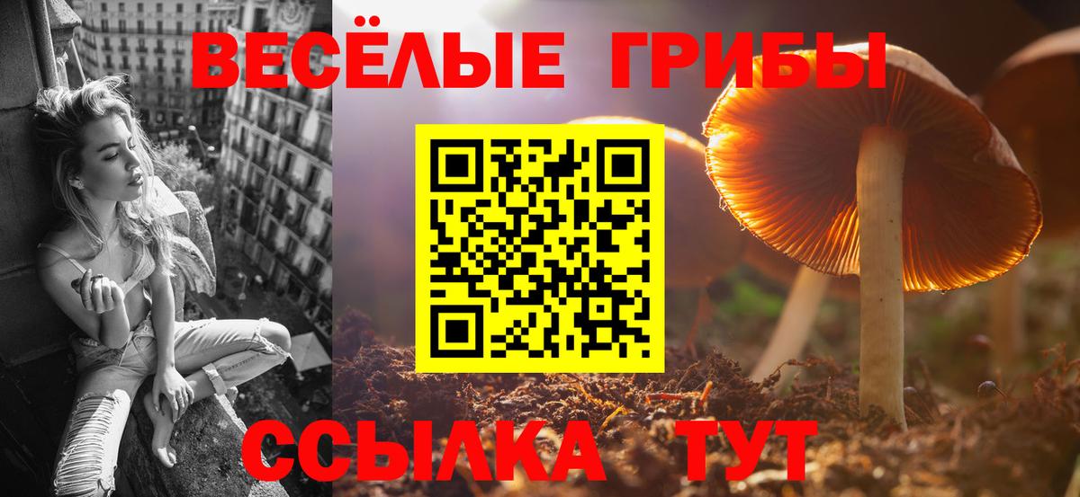 Псилоцибиновые грибы Psilocybine cubensis Артёмовский
