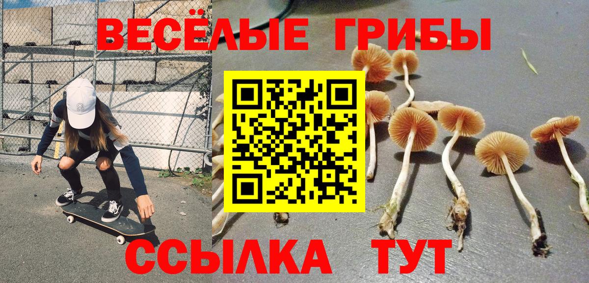 Псилоцибиновые грибы Psilocybe  Артёмовский 